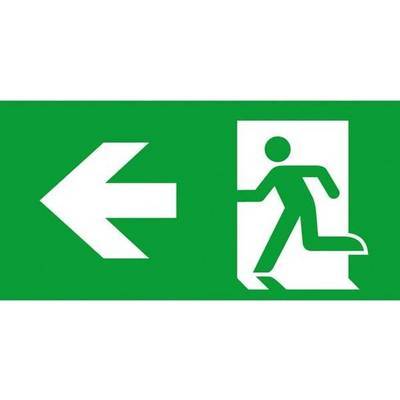 CEAG Einlegepiktogramm für 155-000-212 Atlantic LED D, Pfeil links Techn.Licht/Wohnraum