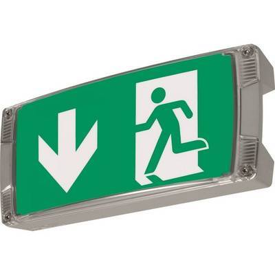 CEAG Atlantic LED II S CG-S Zentralb. IP66 Wand/einseitig Alu 24m ohne Pikto Techn.Licht/Wohnraum
