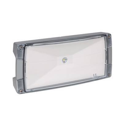 CEAG Atlantic LED II O CG-S Zentralb. IP66 Aufbau Alu grau 260lm symmetrisch Techn.Licht/Wohnraum