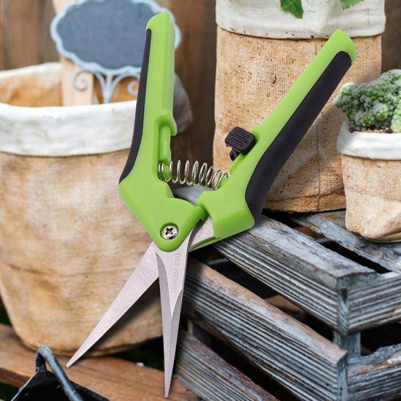 „Grüne Gartenschere auf einer rustikalen Holzkiste, umgeben von Topfpflanzen und einem kleinen Tafelschild im Hintergrund."