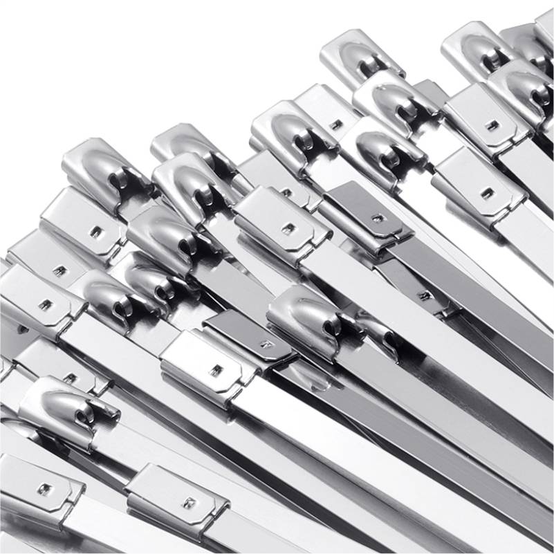 Kabelbinder aus Edelstahl, 20er-Pack Silver 200 mm