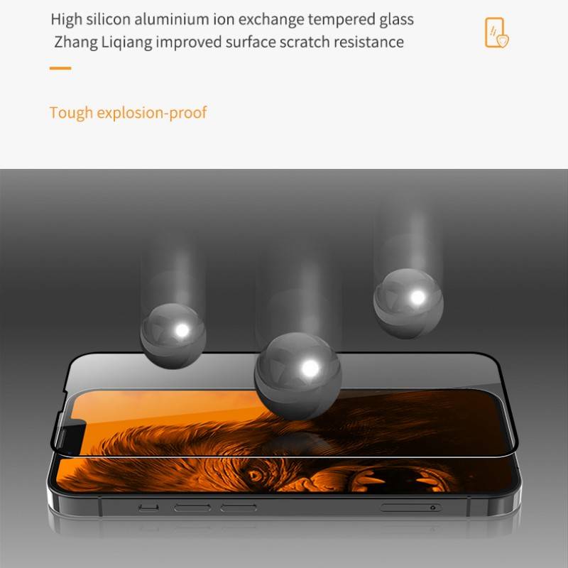 Displayschutzfolie mit Positionierungshilfe Transparent iPhone 11/XR
