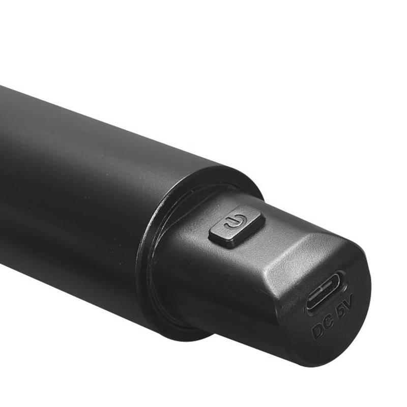 Drahtloses Mikrofon mit Empfänger