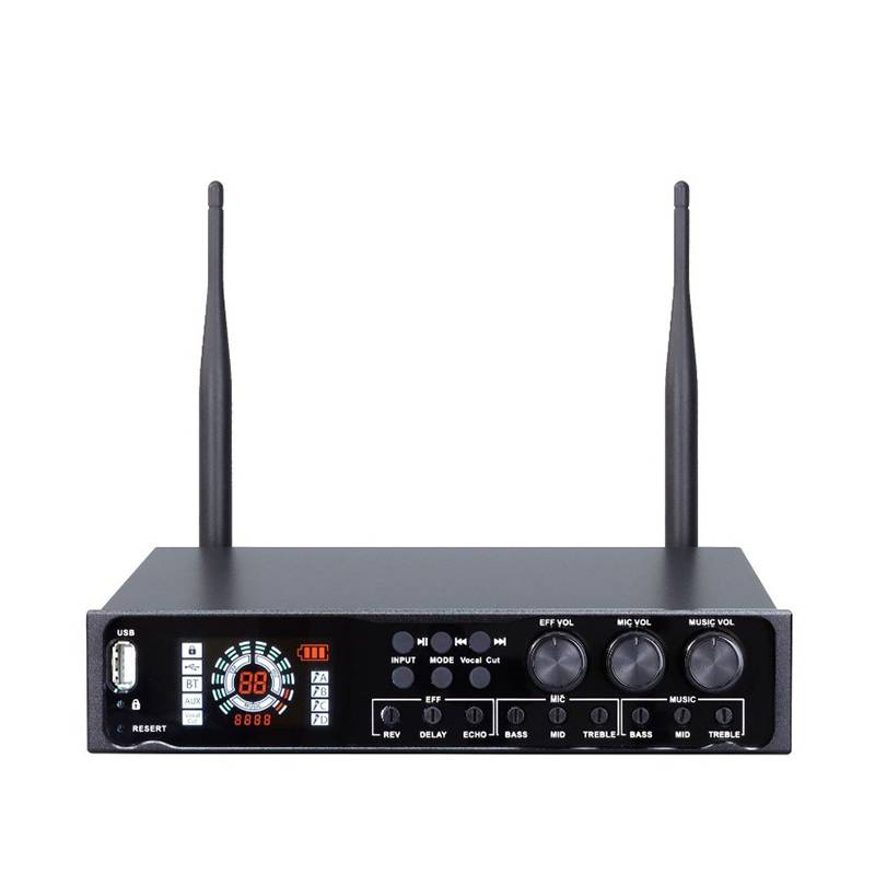 All-in-One-Funkmikrofonsystem mit Bluetooth – Für Hochzeiten, Karaoke Black