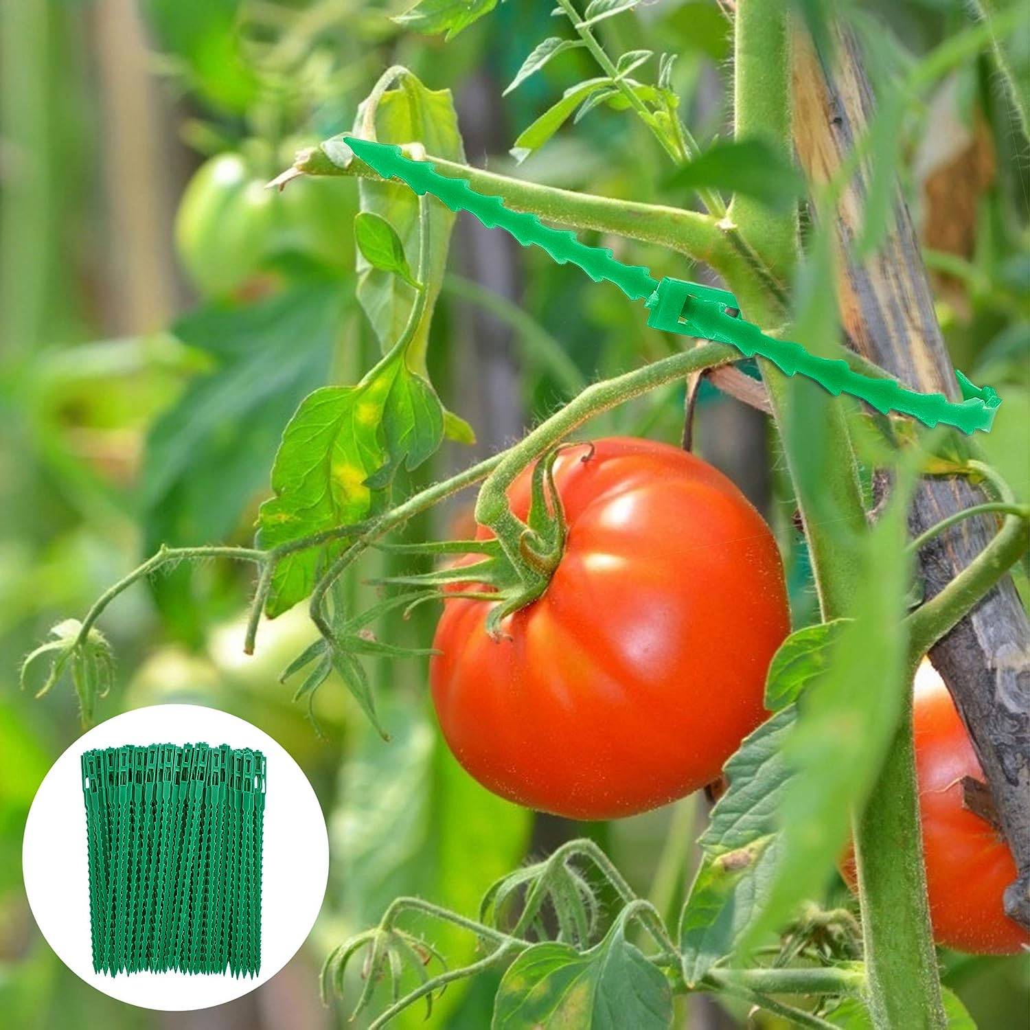 50 Packungen 11 cm Pflanzenbinder für den Garten, Bündelbinder, Kabelbinder mit Drehverschluss für Kletterpflanzen Green