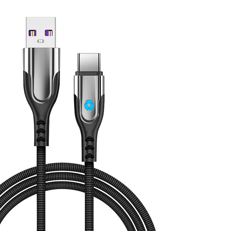 2er-Pack Typ-C-auf-USB-Kabel 3,1 A, Schnellladung/Datensynchronisierung, 1 m Black