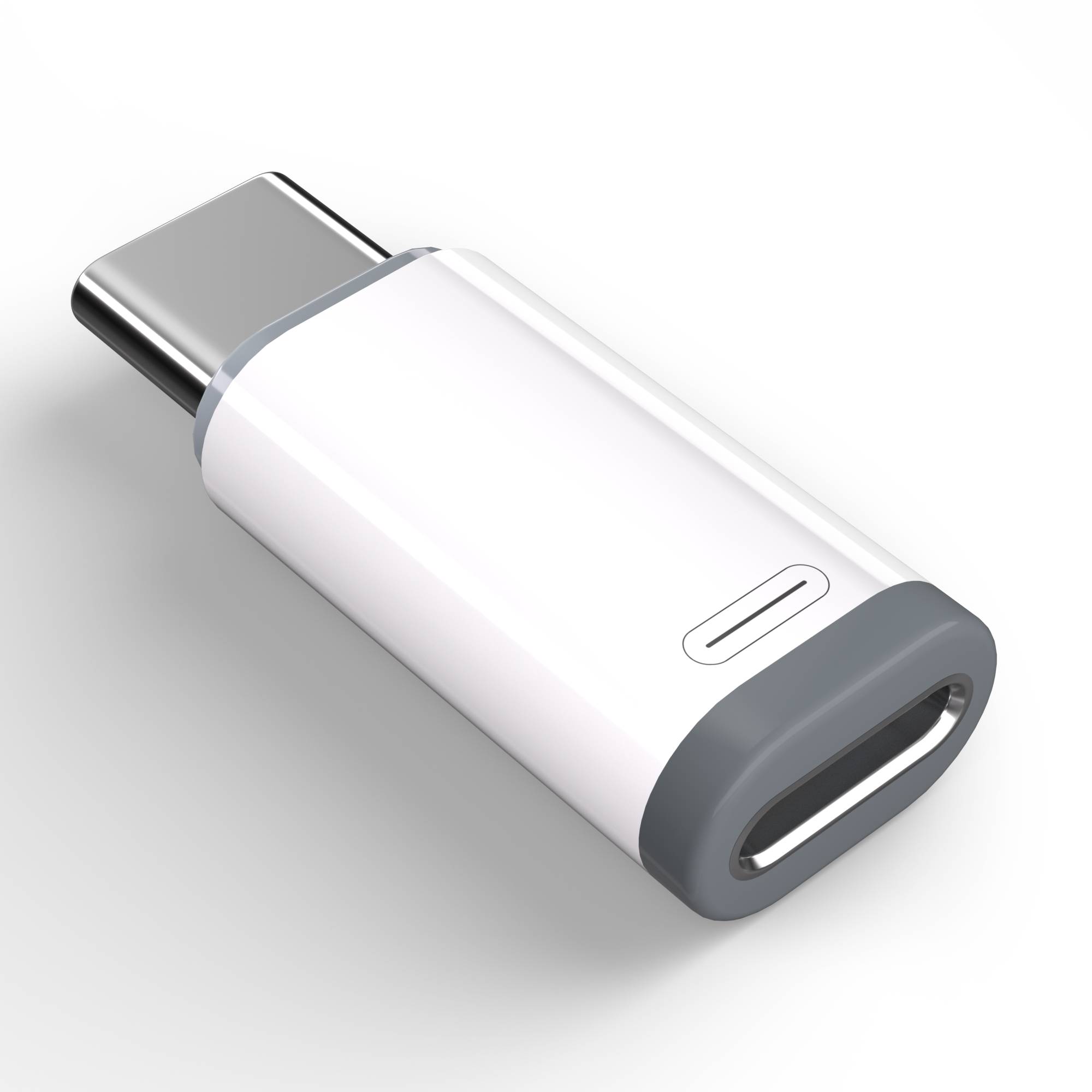 Lightning-Adapter (weiblich) auf USB-C (männlich)