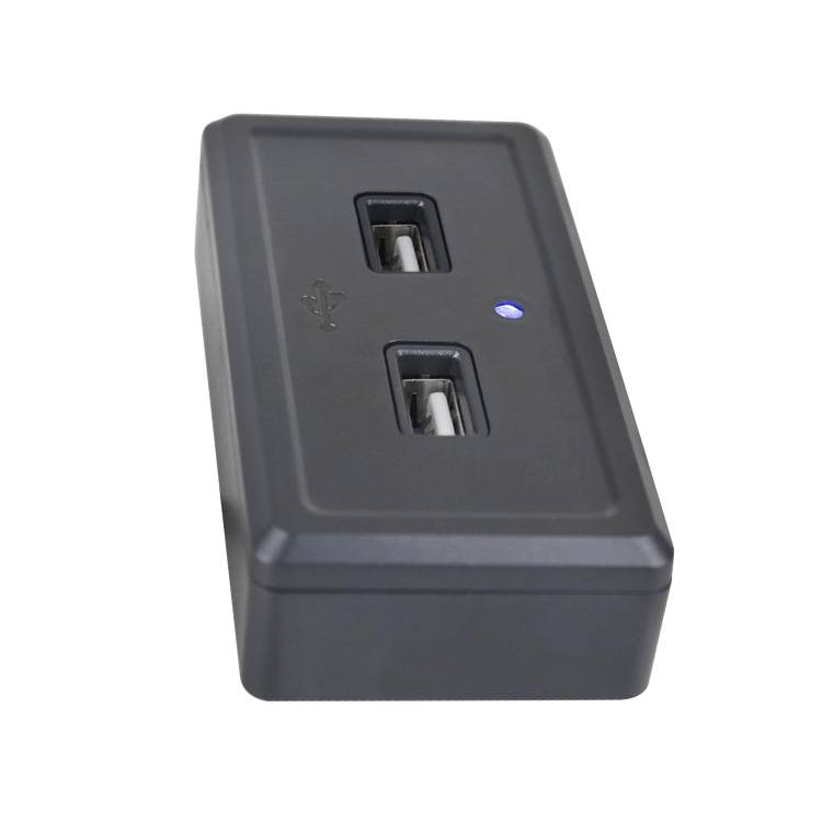 Autoladegerät-Ladepanel mit 2 USB-Anschlüssen