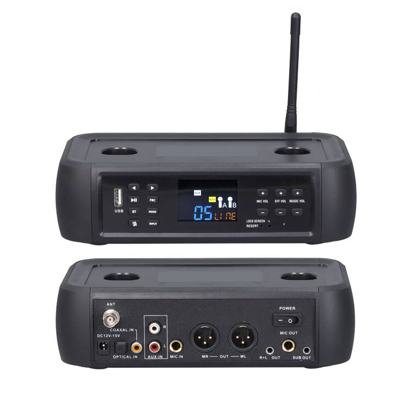 Drahtloses Mikrofon-Set mit DSP-Anti-Heul-Technologie Black