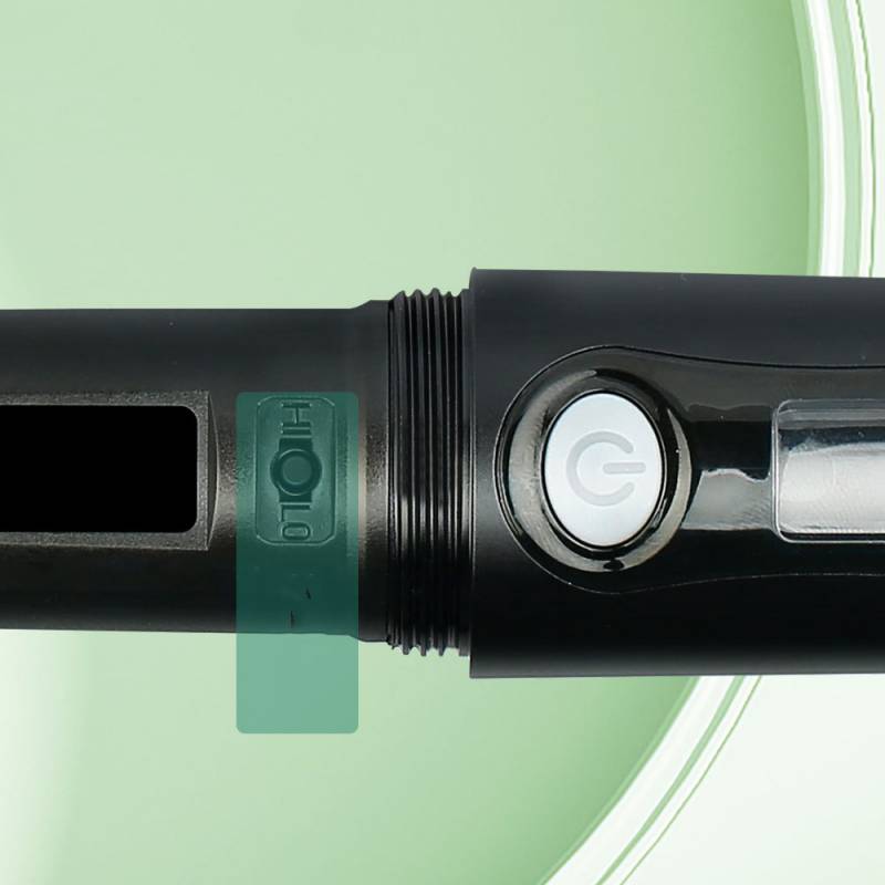 Professionelles Dual-Funkmikrofon mit festem Empfänger Black