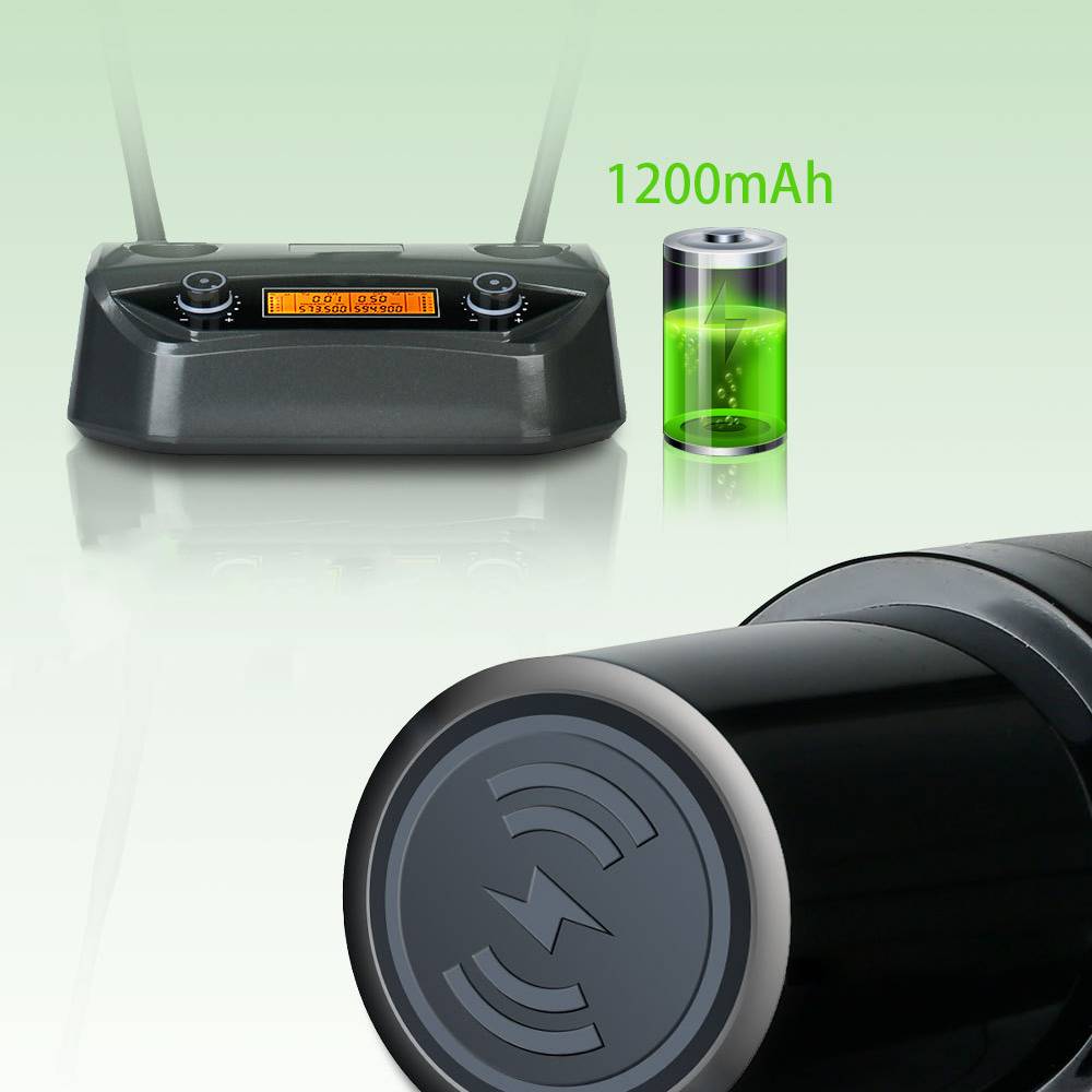 Professionelles Dual-Funkmikrofon mit festem Empfänger Black