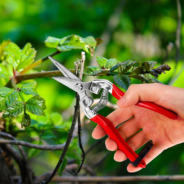 Gartenschere L Modell 1