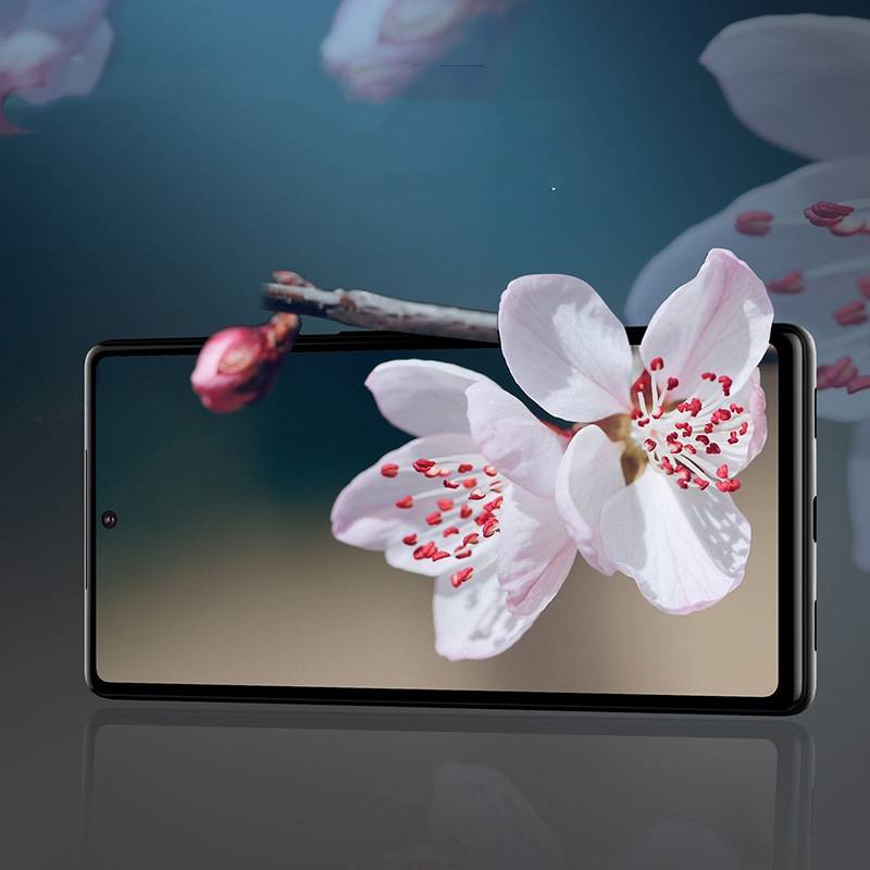 2er-Pack Displayschutzfolie Google Pixel4