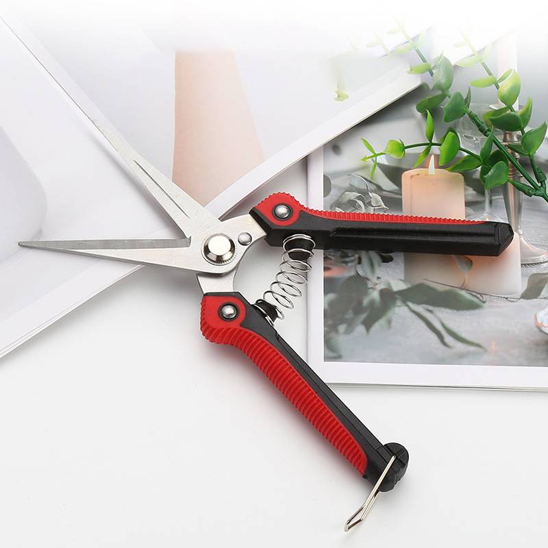 Gartenschere (Rot und Silber)