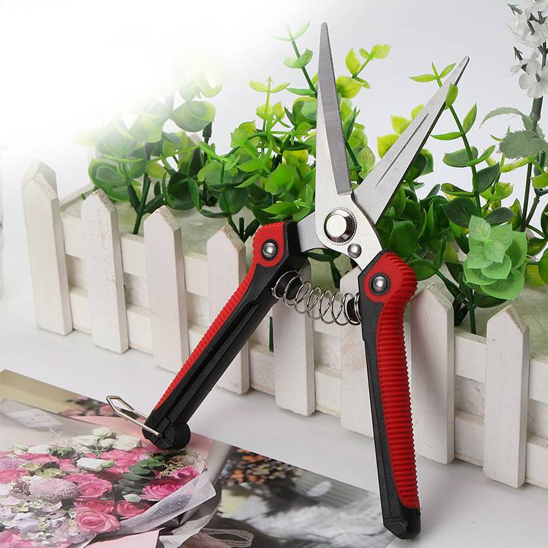 Gartenschere (Rot und Silber)