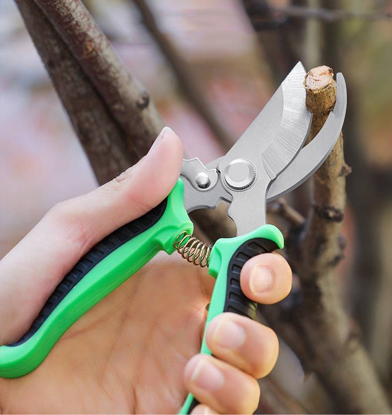 Gartenschere für präzises und einfaches Pflanzenschneiden MultiColor