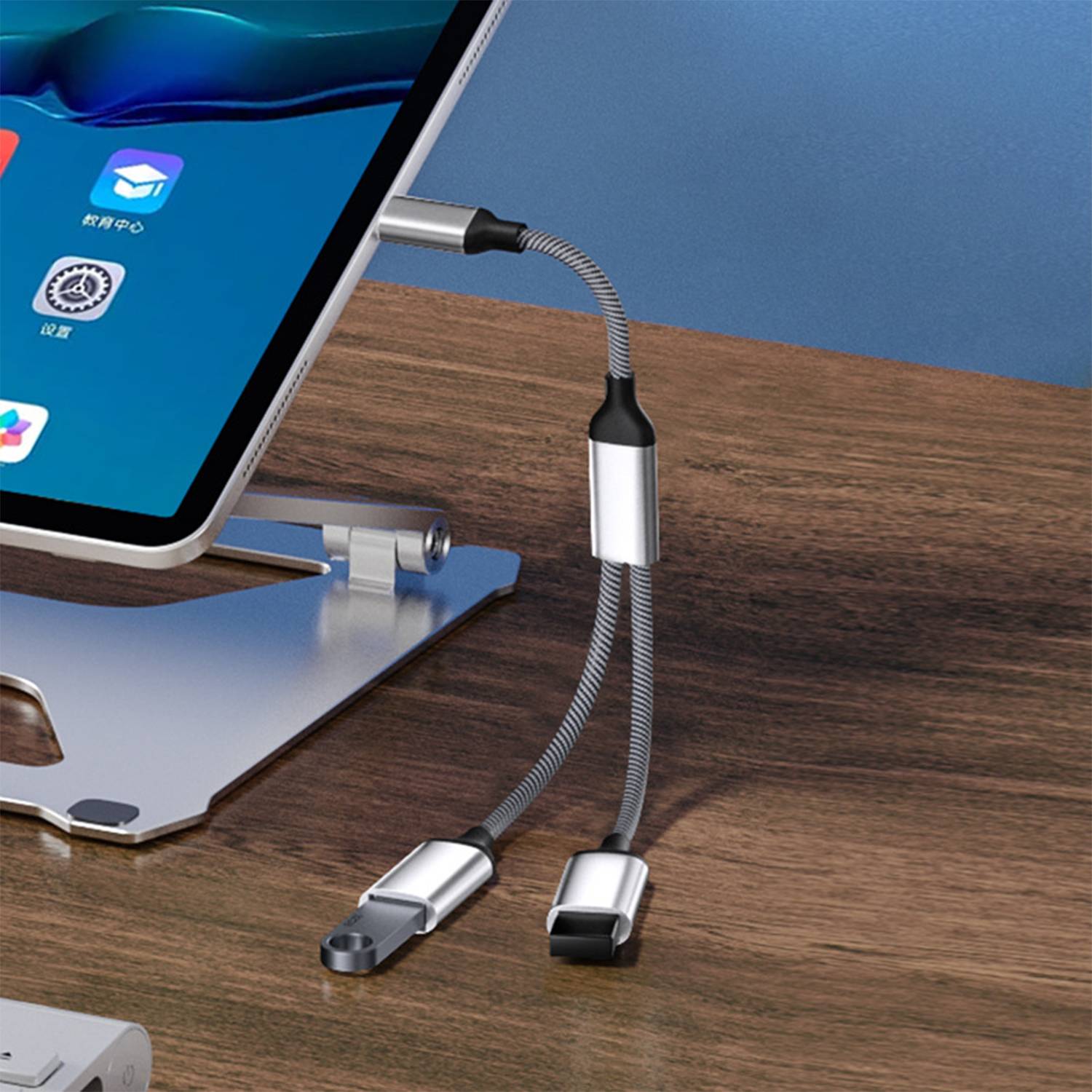 Typ-C-auf-Dual-USB-2.0-Adapter Grey