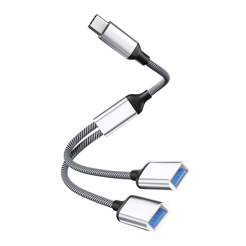 Typ-C-auf-Dual-USB-2.0-Adapter Silver