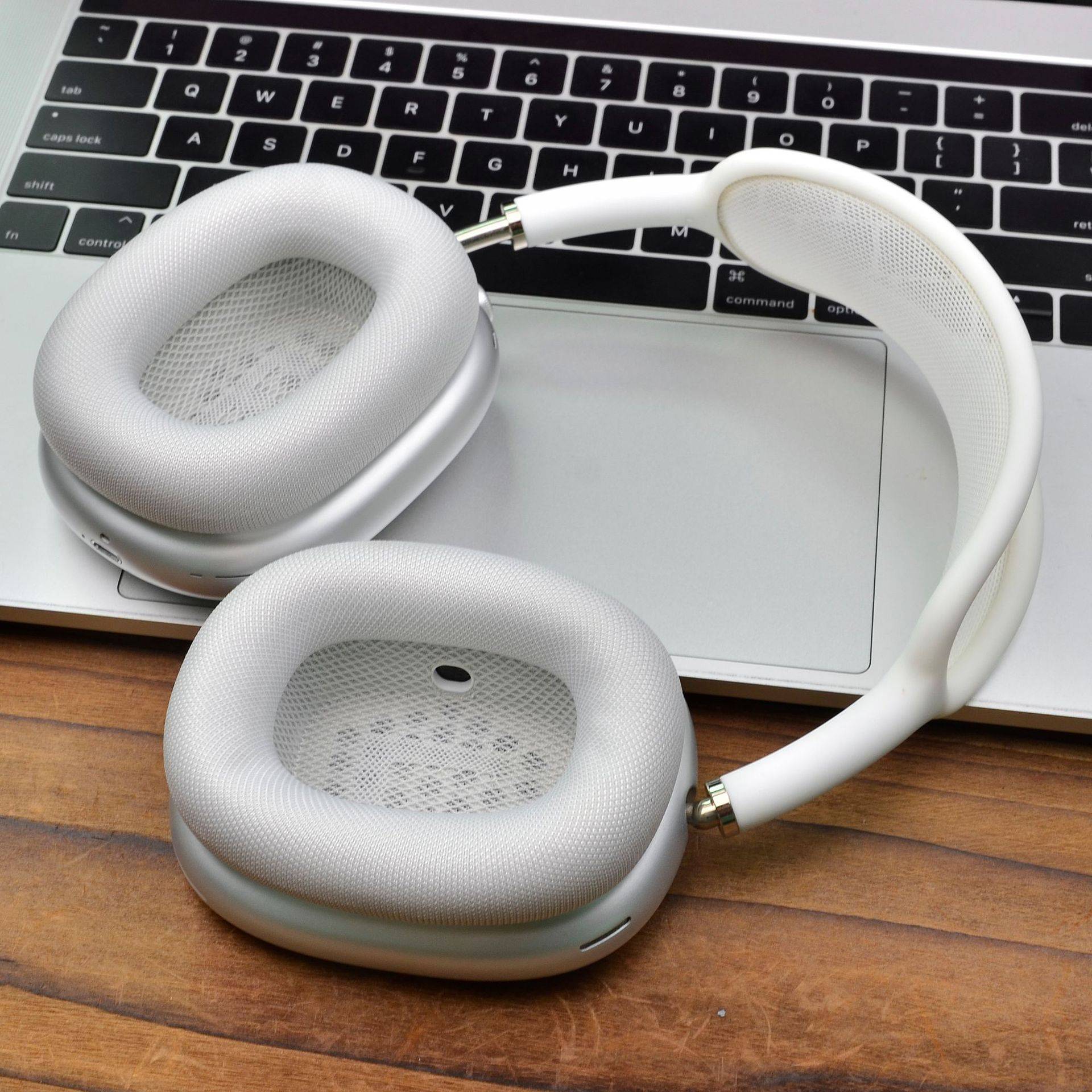 Ohrpolster für AirPods Max – Apple Stoff & Silikon Silver