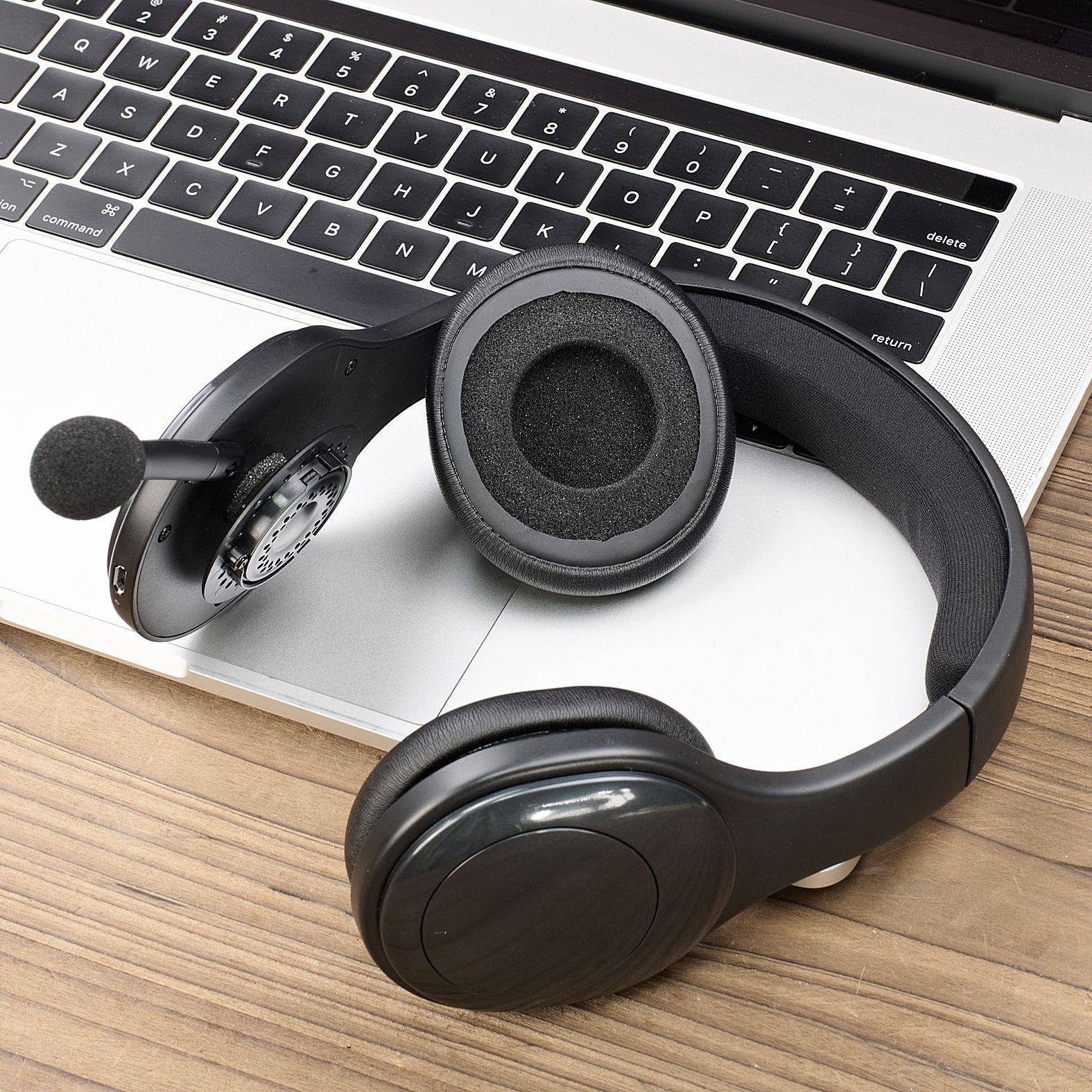 2 Stk. Schwarze, perforierte Ohrpolster aus Proteinleder, kompatibel mit Logitech H800 Wireless Headset