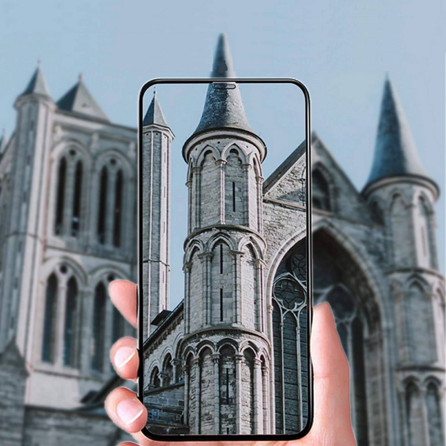 Displayschutzfolie iPhone 11 / XR