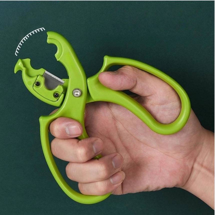 2-in-1 Blumen Dornenentferner und Gartenschere - Werkzeug für Blumenarrangements Green