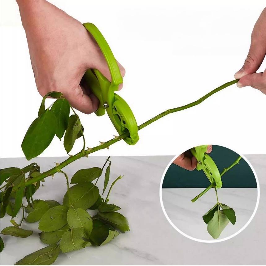 2-in-1 Blumen Dornenentferner und Gartenschere - Werkzeug für Blumenarrangements Green