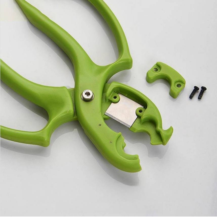 2-in-1 Blumen Dornenentferner und Gartenschere - Werkzeug für Blumenarrangements Green