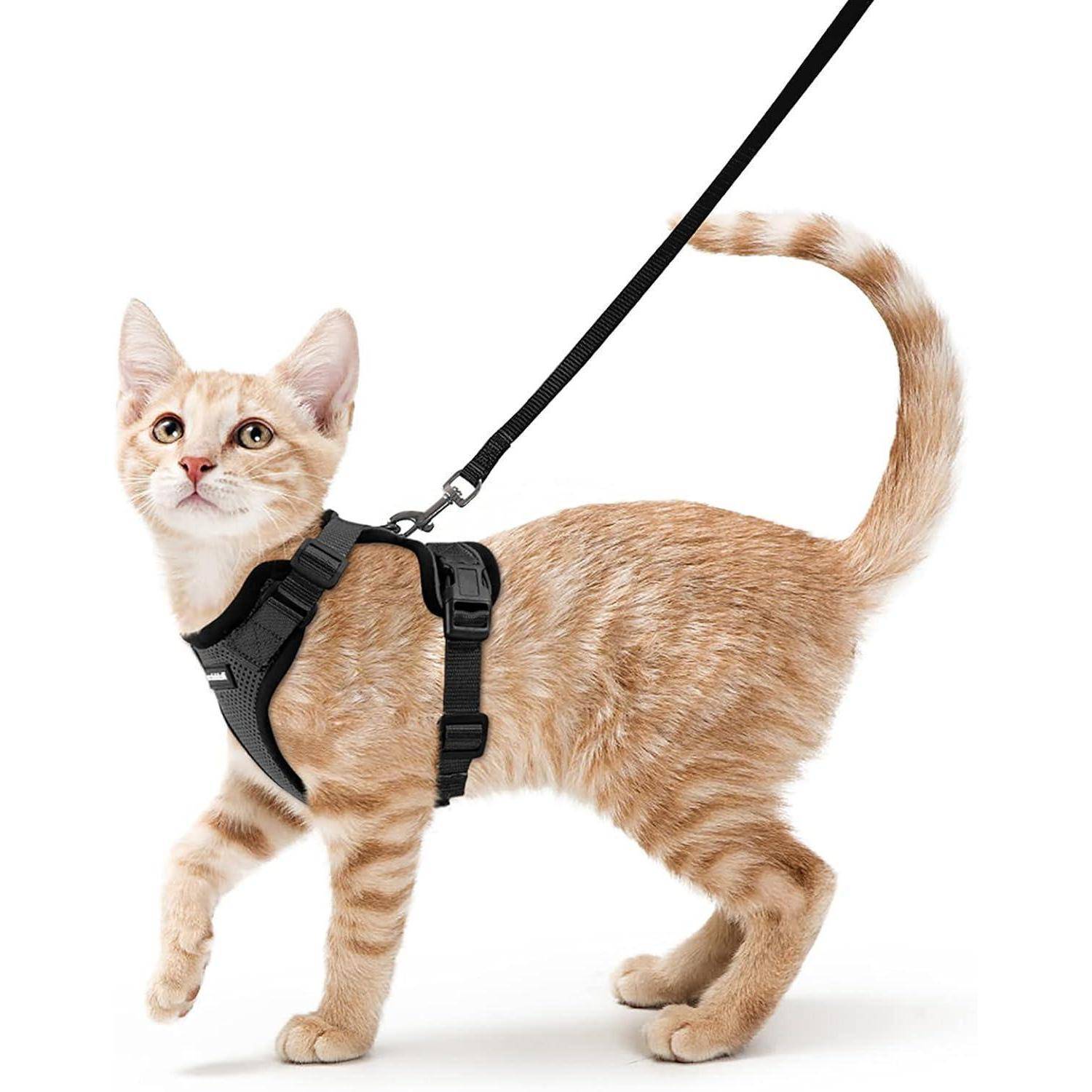 rabbitgoo Katzengeschirr mit Leine Softgeschirr für Katze Brustgeschirr Cat Harness Katzengarnitur Ausbruchsicher Verstellbar Katzenweste Schwarz