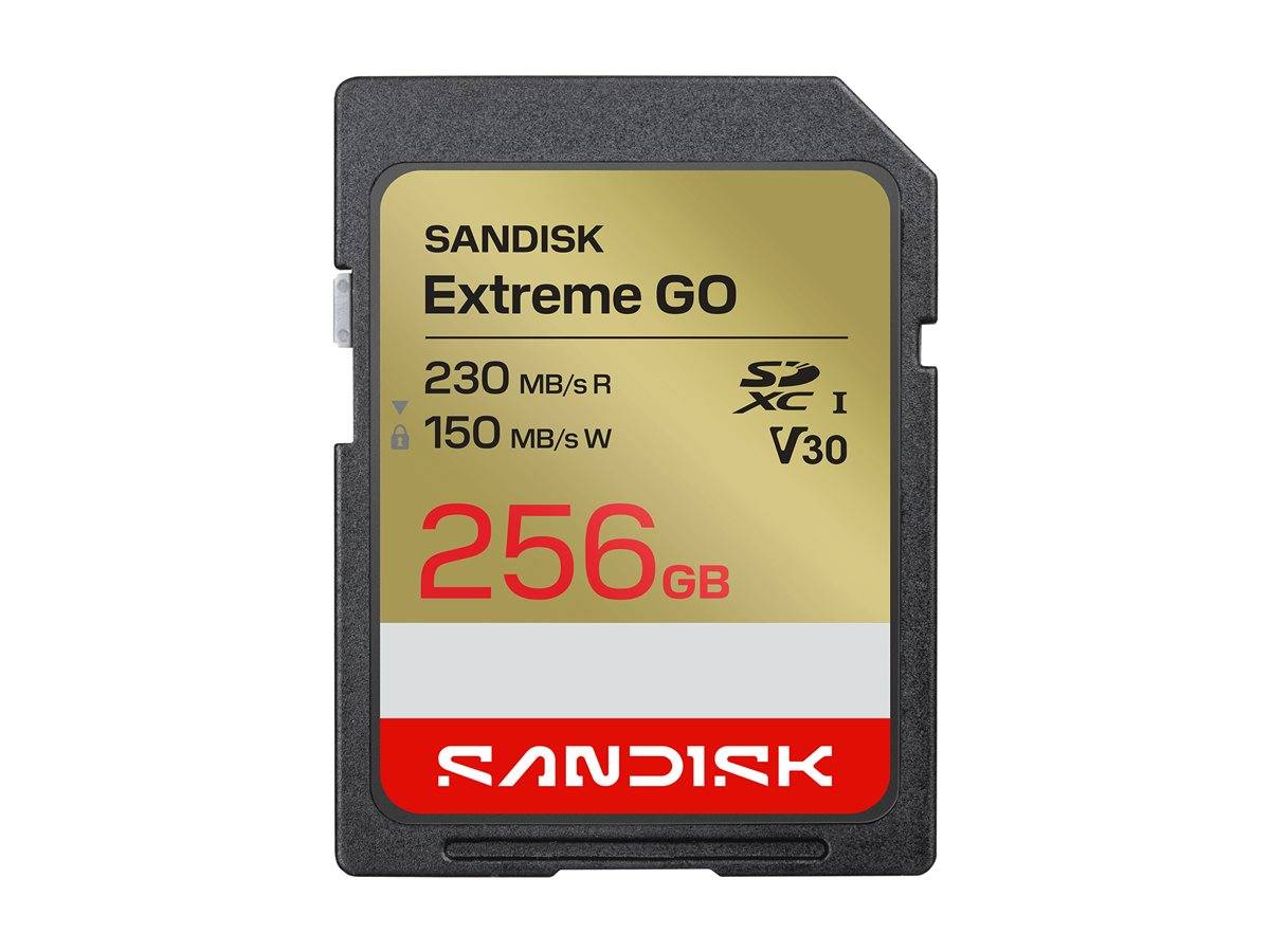SanDisk Extreme Go - Flash-Speicherkarte - 256GB - Video Class V30 / UHS-I U3 -