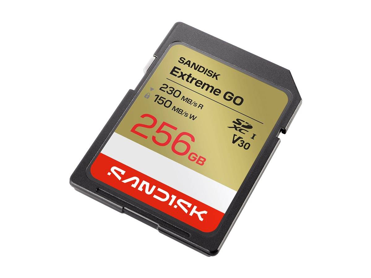 SanDisk Extreme Go - Flash-Speicherkarte - 256GB - Video Class V30 / UHS-I U3 -
