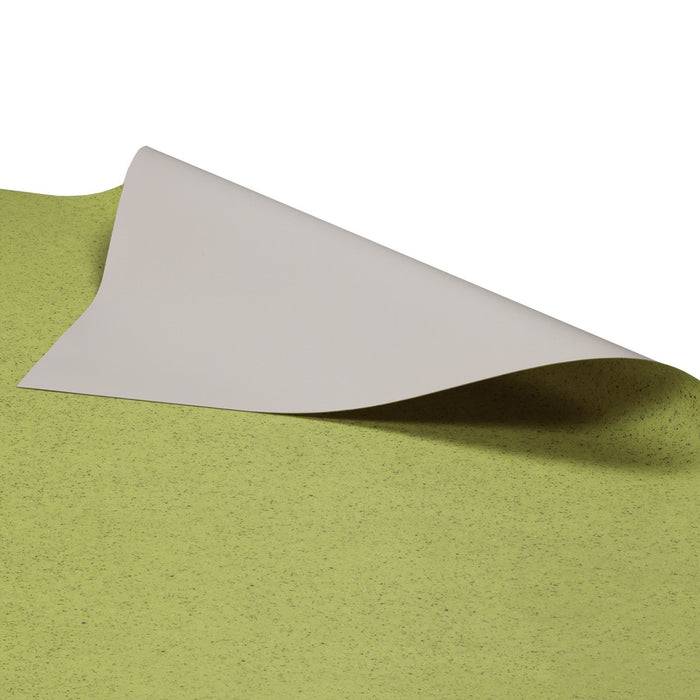 FLOORDIREKT CV-Belag Xtreme - Extra abriebfester & pflegeleichter PVC-Bodenbelag 200 x 400 cm - Mira 550 M