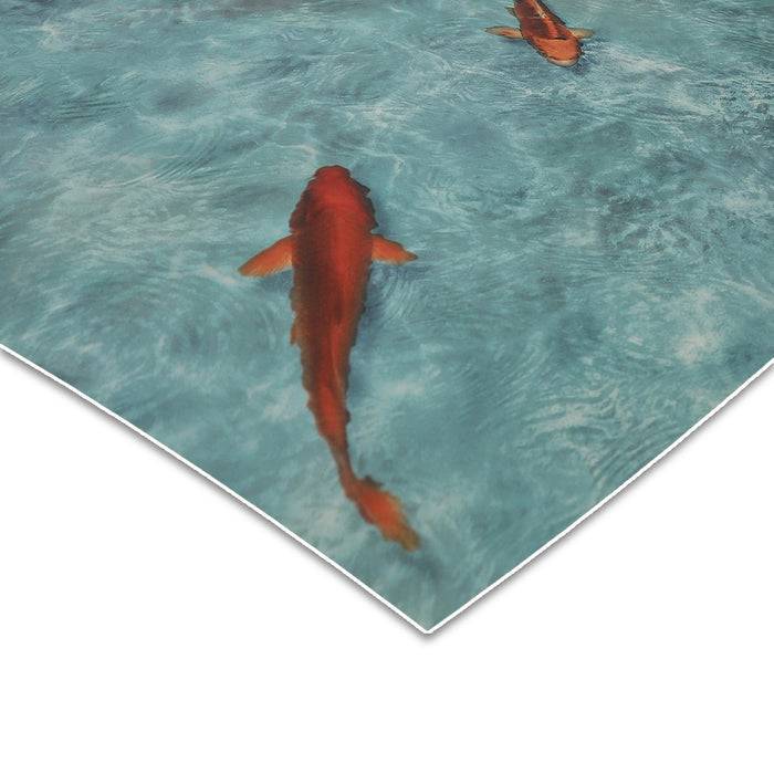 FLOORDIREKT 3D CV-Belag Koi - Extra abriebfester & pflegeleichter PVC-Bodenbelag 100 x 100 cm