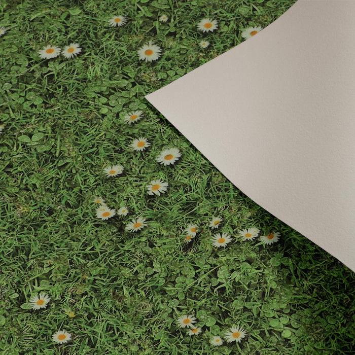 FLOORDIREKT 3D CV-Belag Daisies - Extra abriebfester & pflegeleichter PVC-Bodenbelag 200 x 150 cm