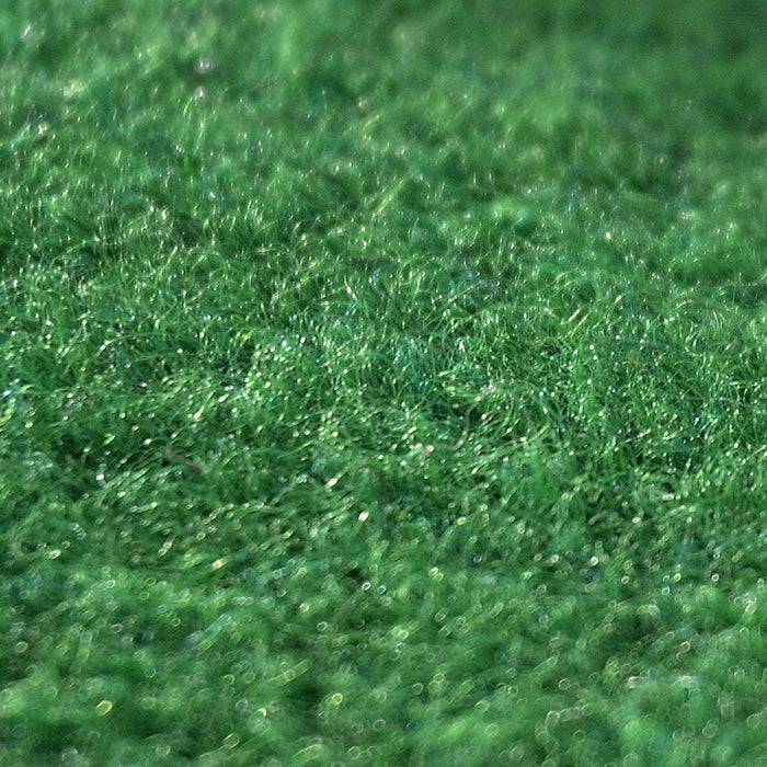 FLOORDIREKT Rasenteppich Farbwunder - Robust & einfach zu verlegen - Ideal für Balkon & Terrasse - 100 cm x 300 cm - Grün