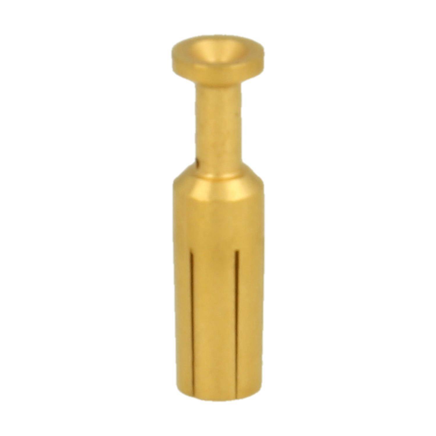 Goldfarbiger Metallsteckdorn mit breitem flachen Kopf und gezahntem zylindrischen Schaft auf weißem Hintergrund.