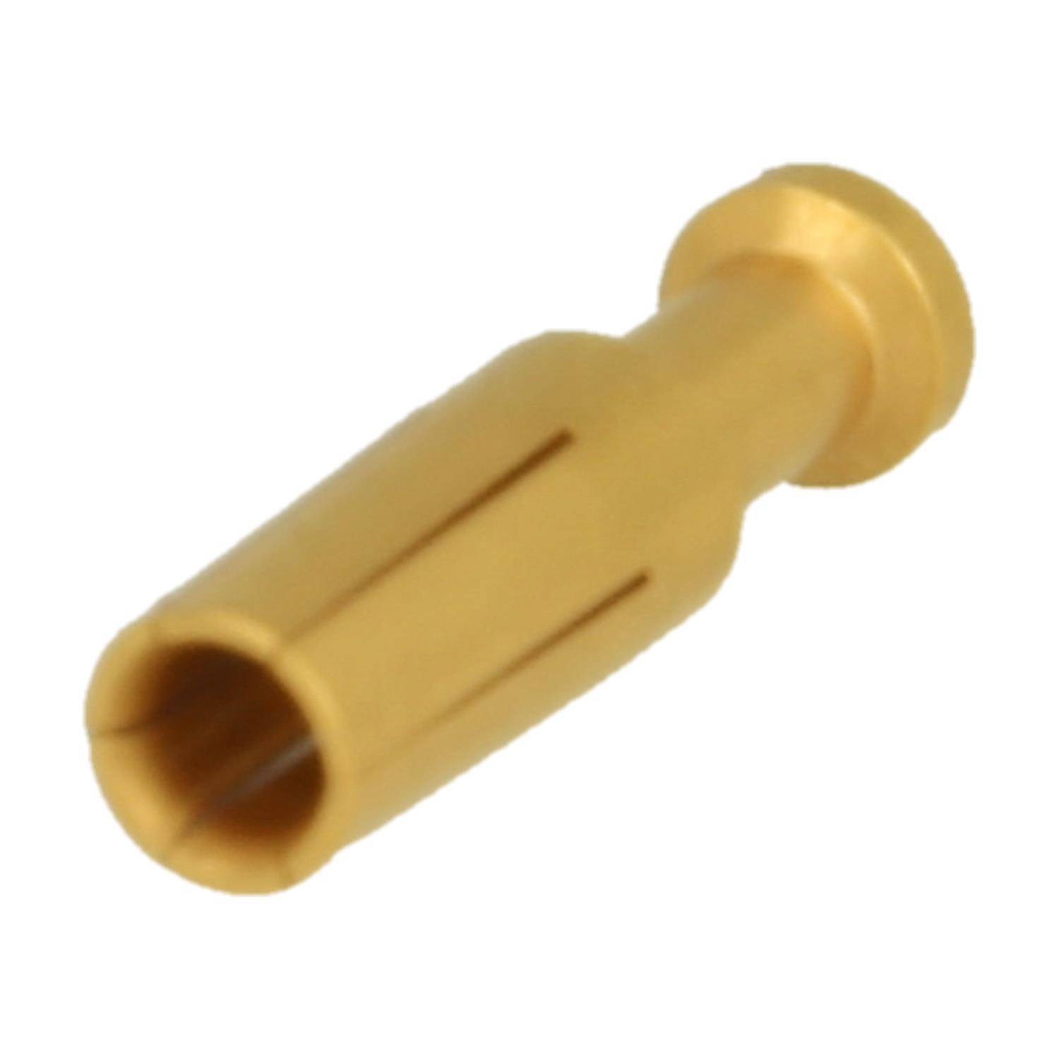 Kleine goldfarbene Metall-Elektrostecker-Stiftverbindung auf weißem Hintergrund.