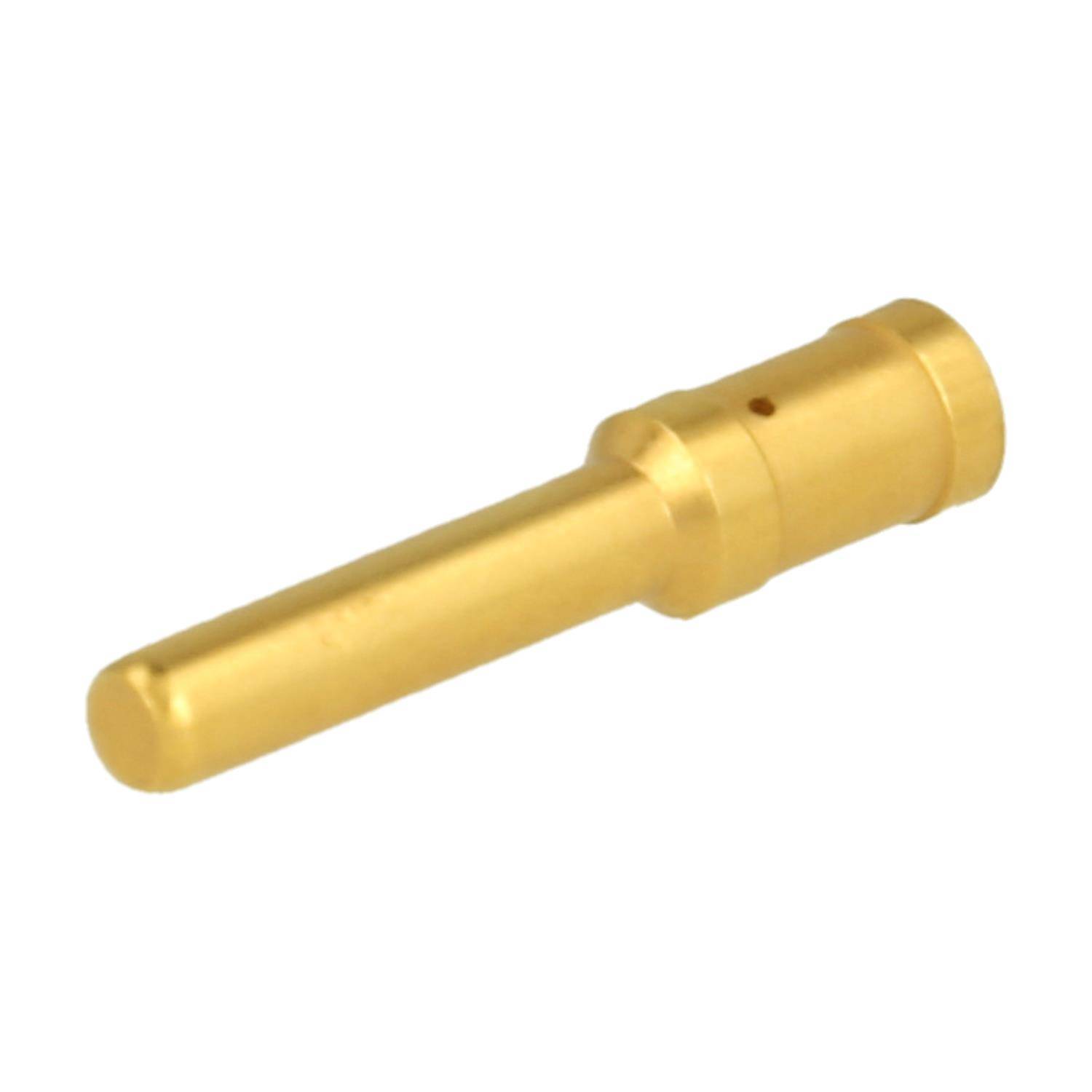 Goldfarbiger Metallstiftstecker auf weißem Hintergrund, in Nahaufnahme dargestellt.