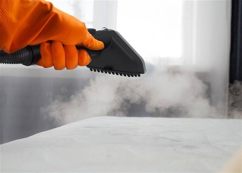 LIFENAXX Textildampfreiniger PRO LX-069, 1800 W