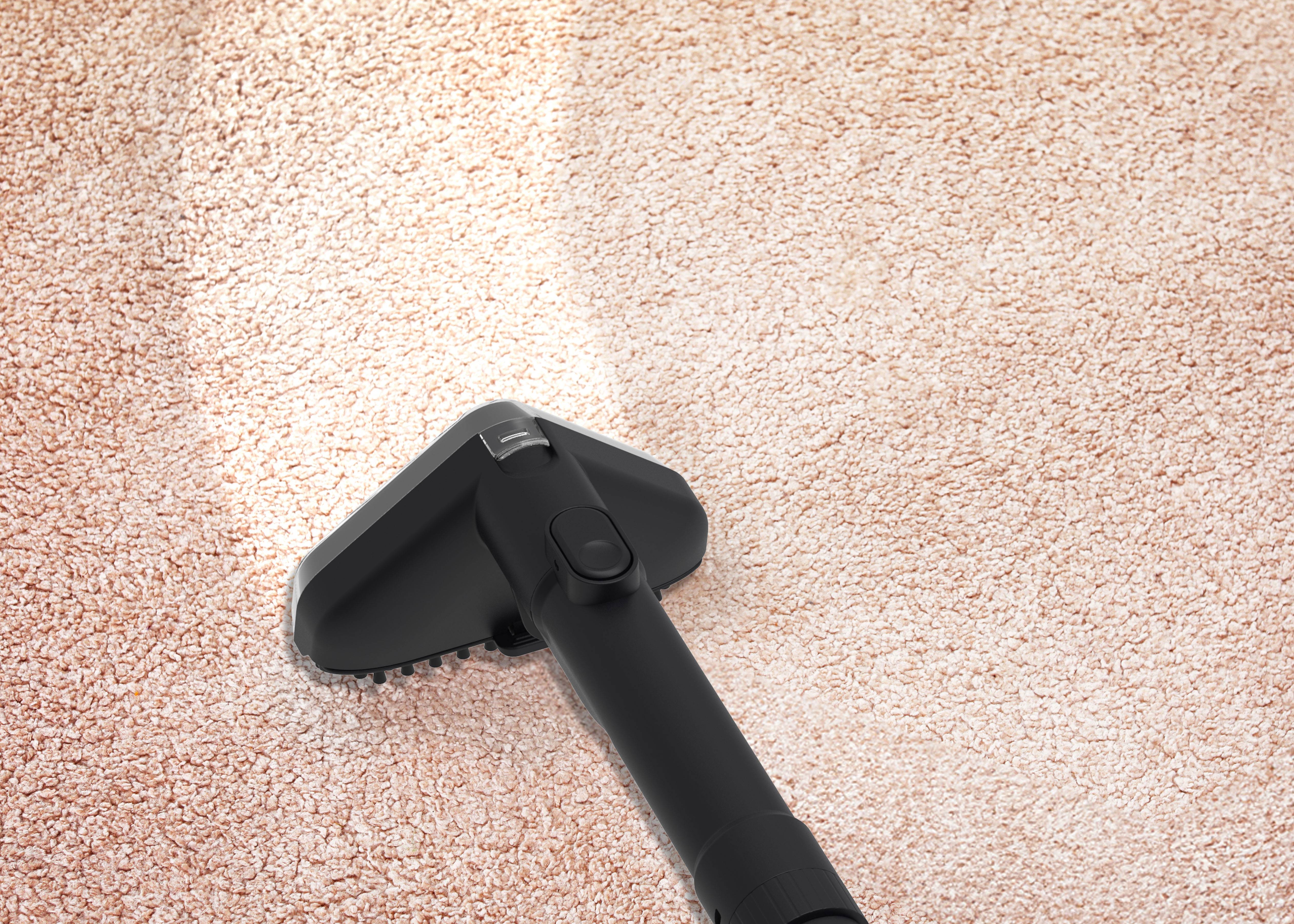 LIFENAXX Textildampfreiniger PRO LX-069, 1800 W