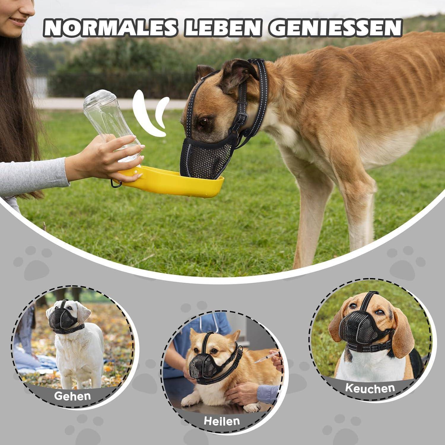 Ein Hund trinkt Wasser aus einer Flasche, während er einen Maulkorb trägt. Der obere Text lautet „Normales Leben Genießen