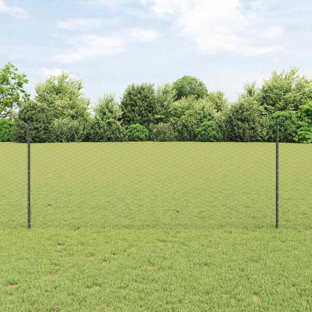 vidaXL Zaun mit Pfosten Grau 0,8 x 10 m Stahl