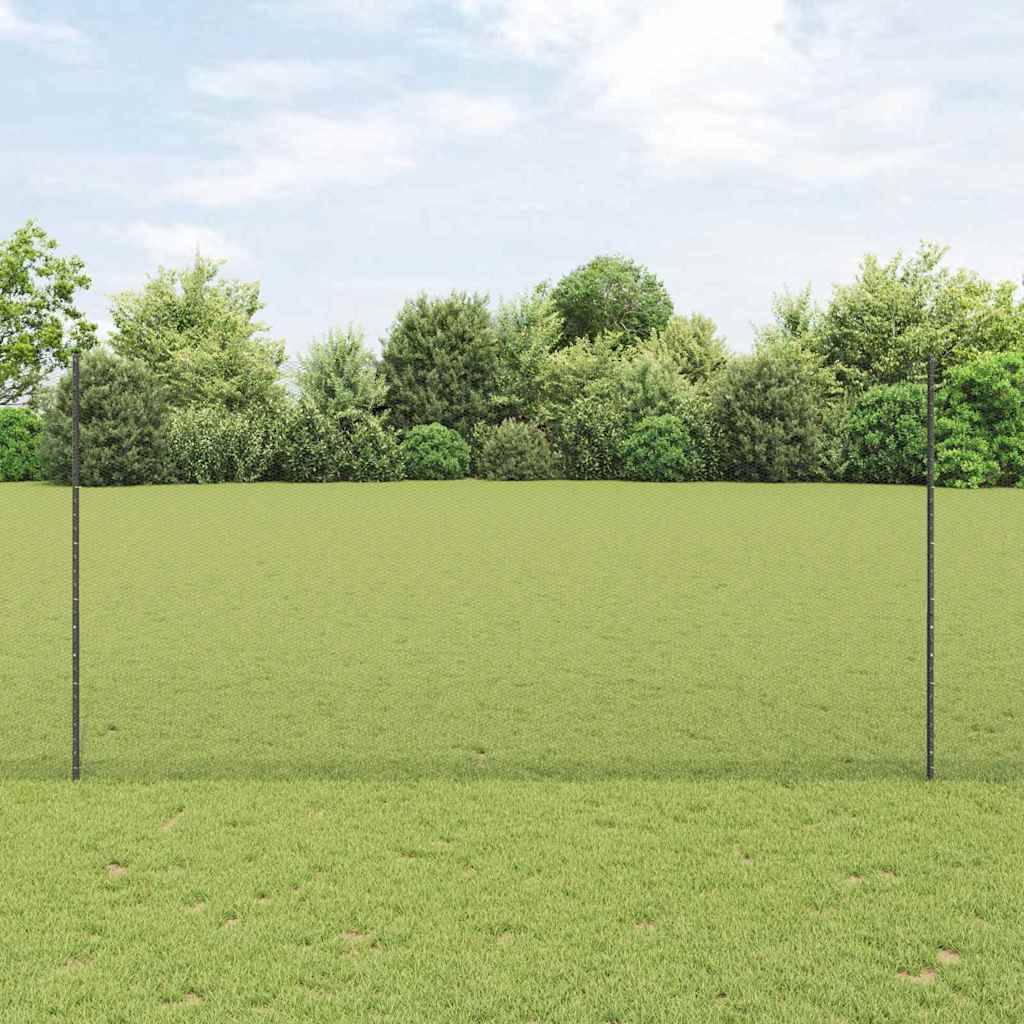 Leeres Grasfeld mit zwei hohen Pfosten an den Seiten, dahinter eine Baumreihe unter einem bewölkten Himmel.