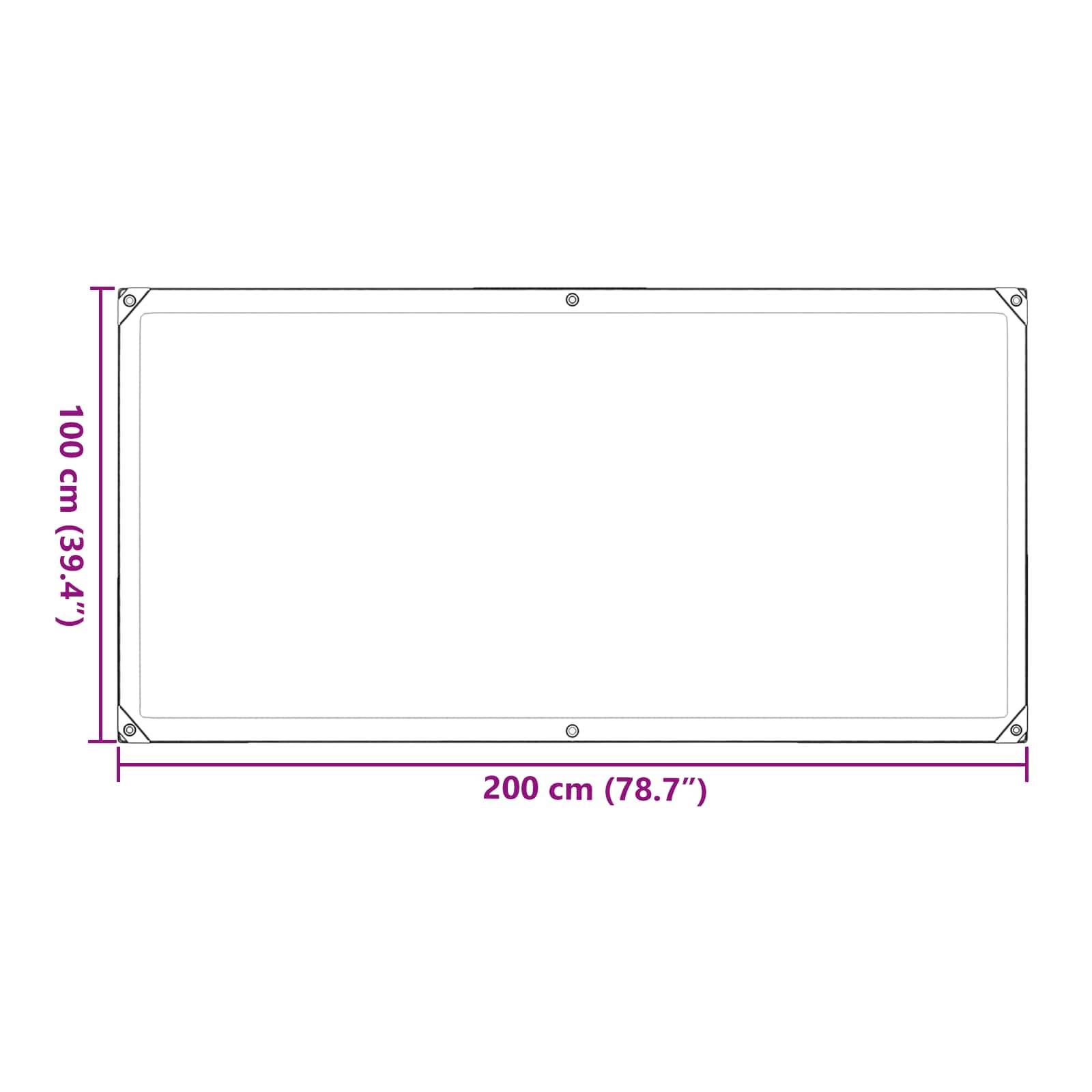 vidaXL Pflanzenabdeckung Transparent 1 x 2 m PE