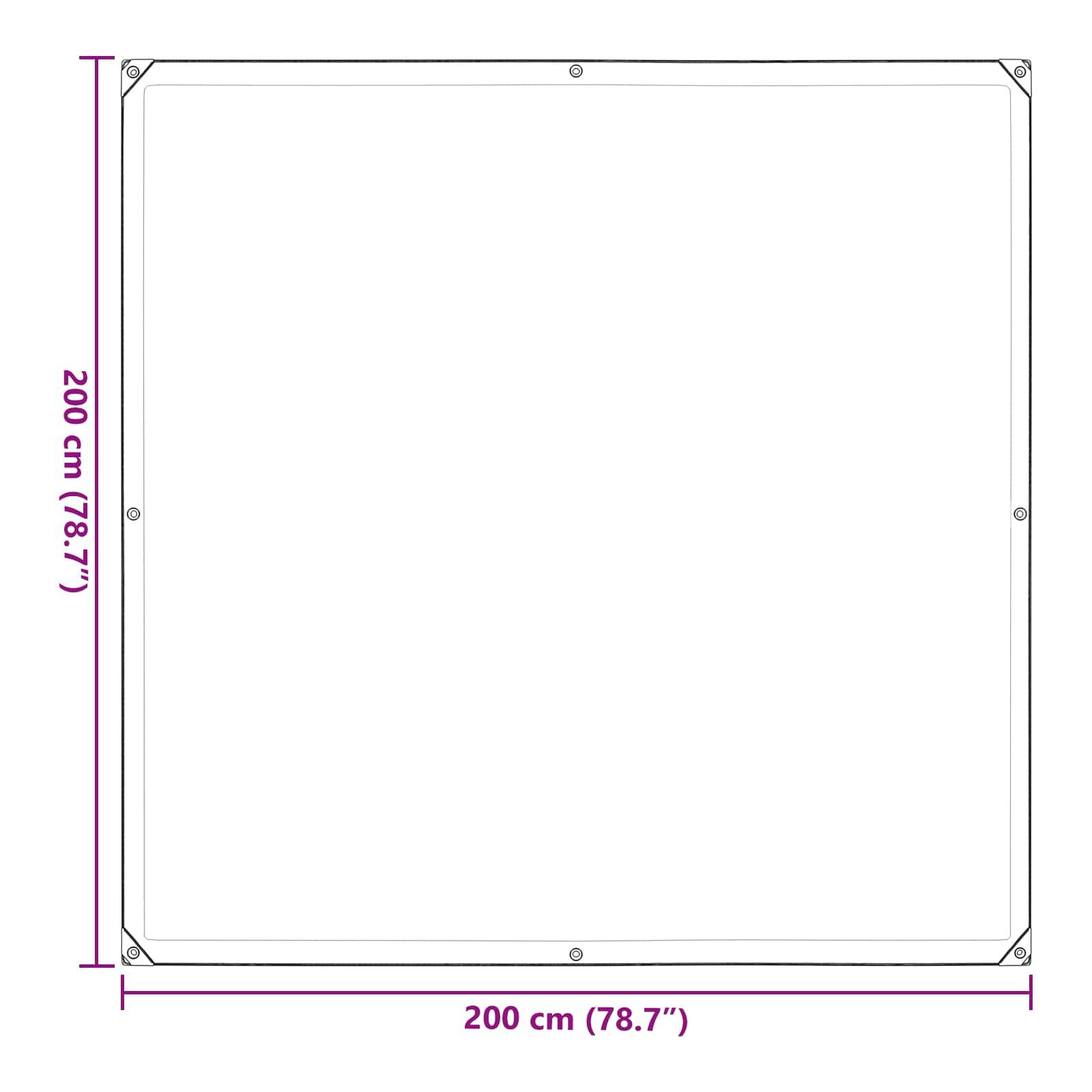 vidaXL Plane mit Ösen Transparent 2 x 2 m Polyethylen