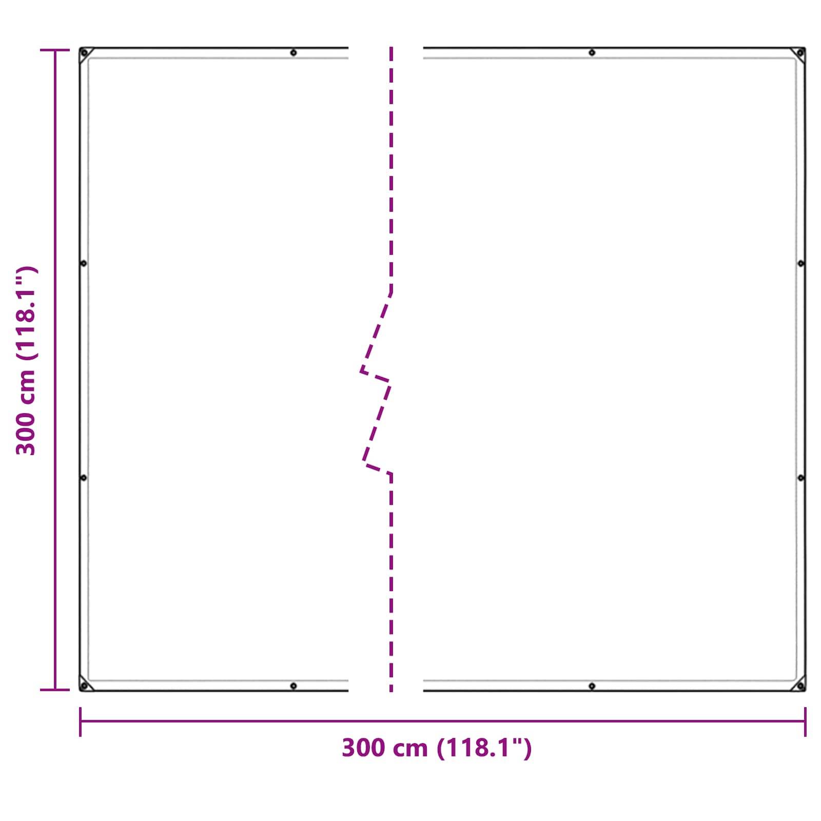 vidaXL Pflanzenabdeckung Transparent 3 x 3 m PE