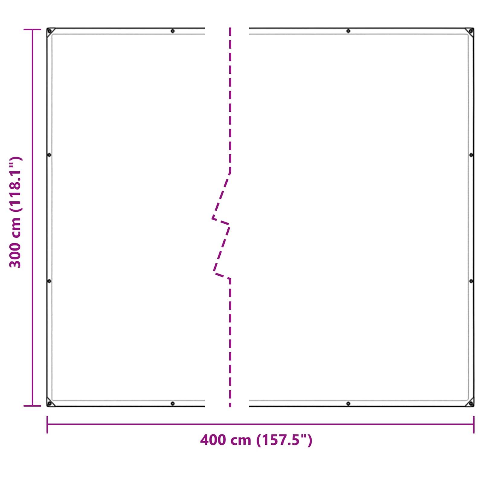 vidaXL Pflanzenabdeckung Transparent 3 x 4 m PE
