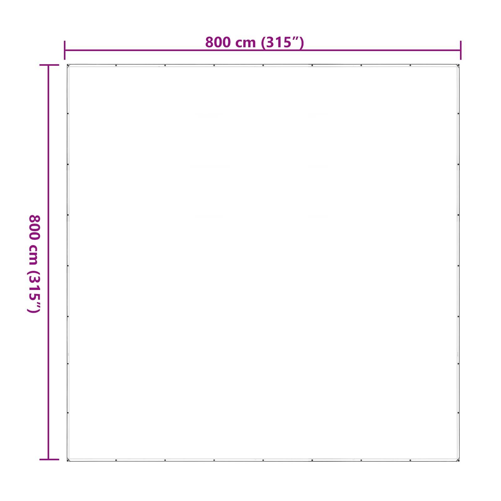 vidaXL Pflanzenabdeckung Transparent 8 x 8 m PE
