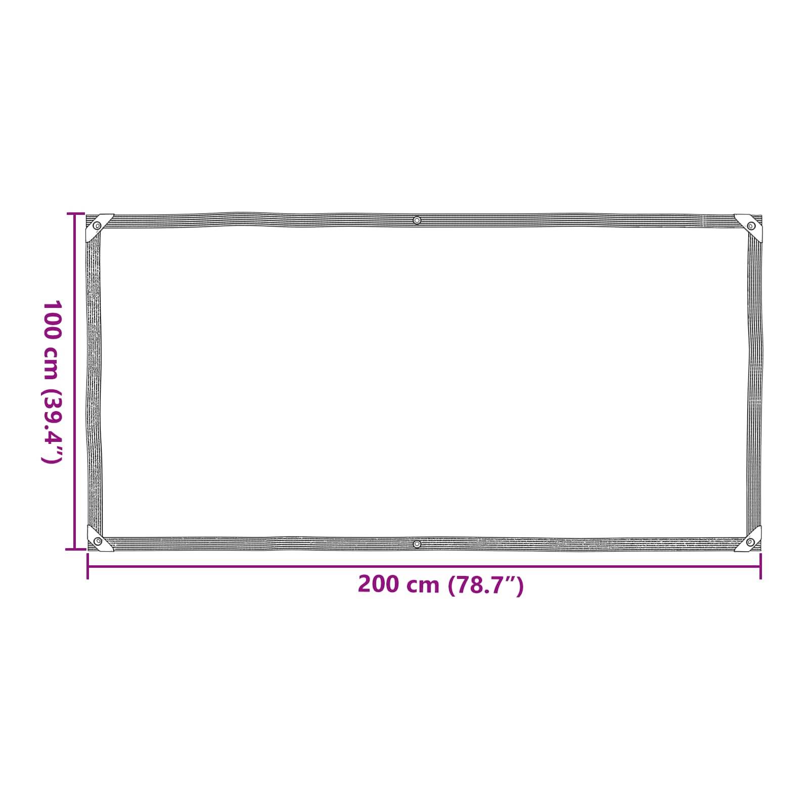vidaXL Plane mit Ösen Transparent 1 x 2 m Polyethylen