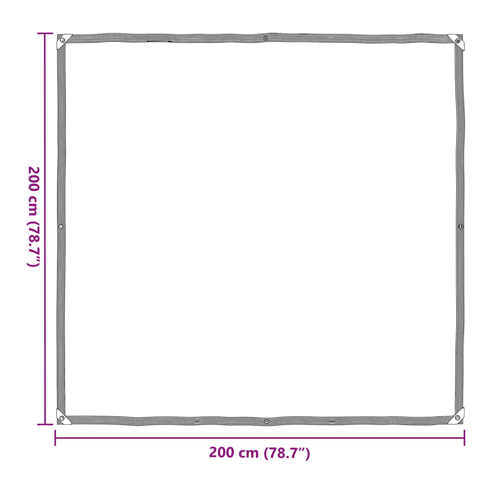 vidaXL Plane mit Ösen Transparent 2 x 2 m Polyethylen
